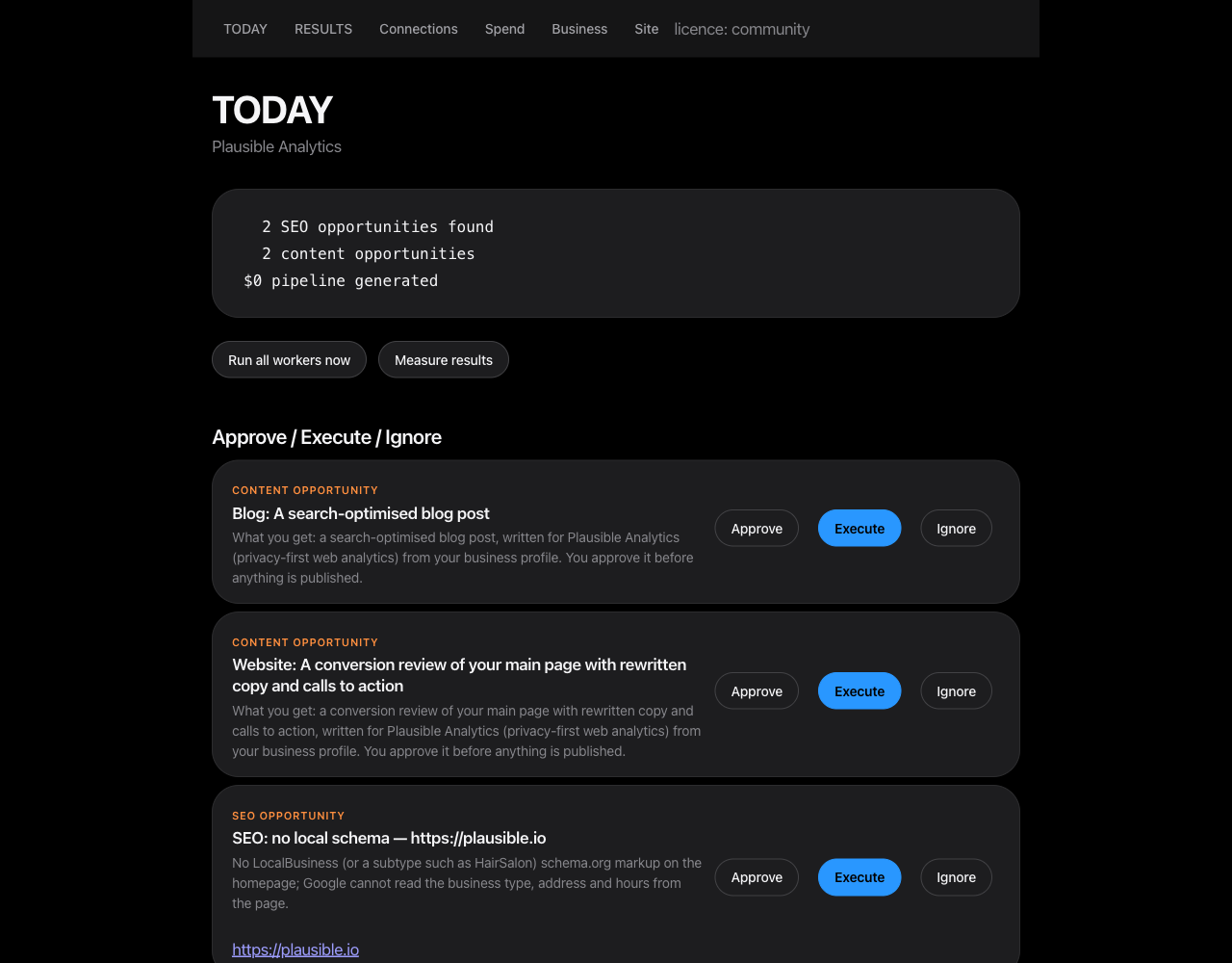 RevenueOS today brief screen listing five opportunities found for Plausible Analytics — two SEO, three content, each with Approve, Execute and Ignore controls